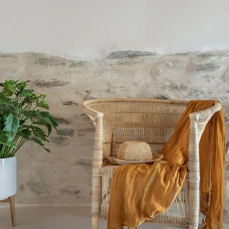 Origin The Cycladic Windmill Experience Holiday home